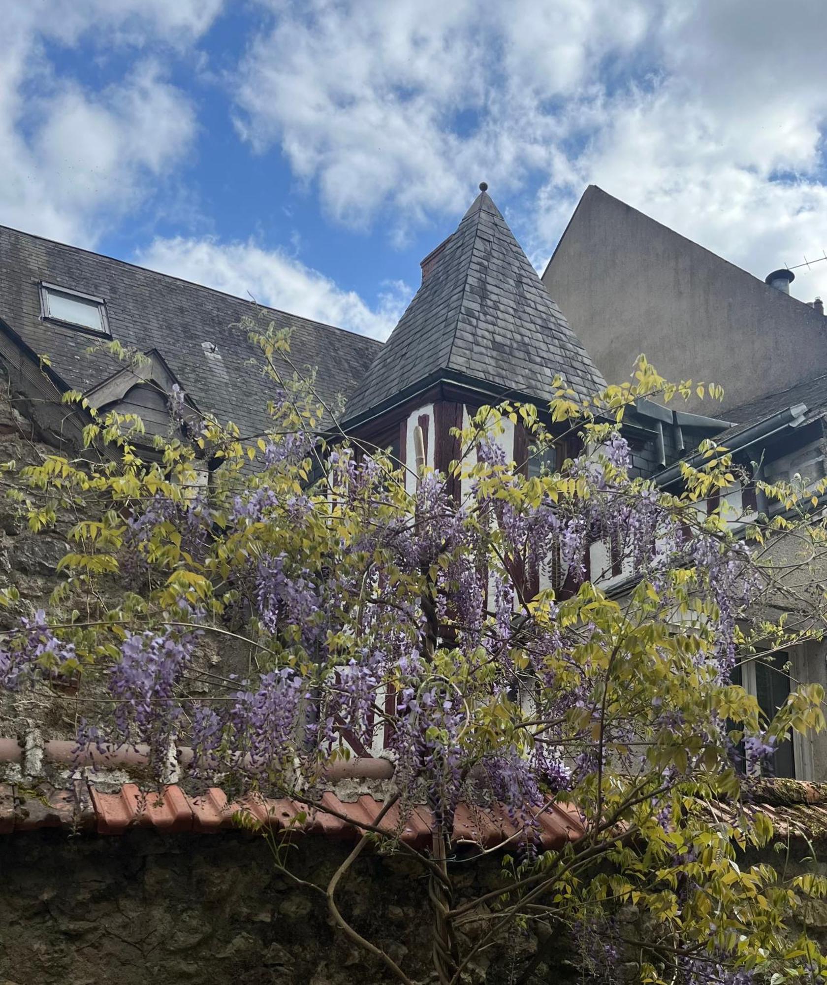 Apartment Chatel Rose - Historical Centre With Garden Blois