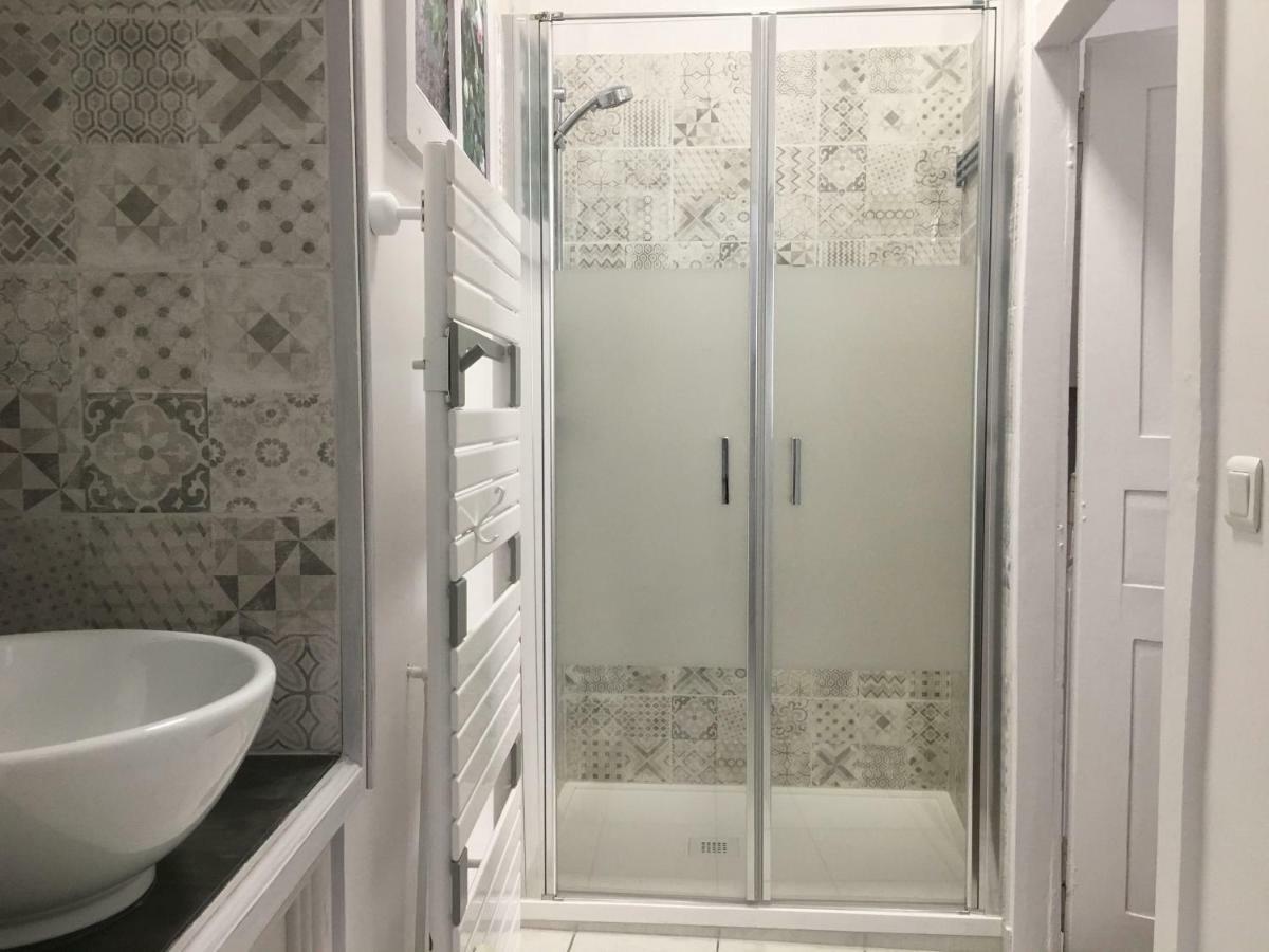 Chatel Rose - Historical Centre With Garden Apartment Blois