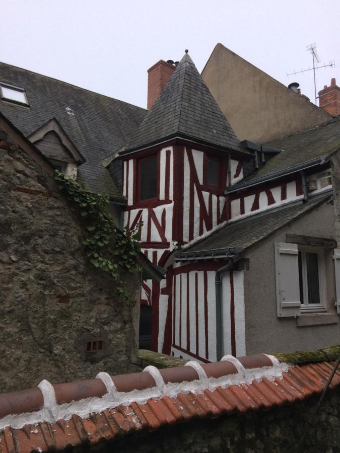 Chatel Rose - Historical Centre With Garden Apartment