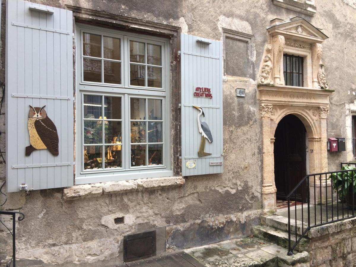 Apartment Chatel Rose - Historical Centre With Garden *